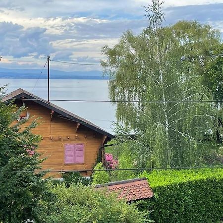La Veranda De La Mouette Thonon-les-Bains Buitenkant foto